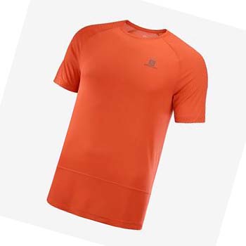 Camiseta Salomon CROSS RUN Hombre Naranjas | MX 3231YXF